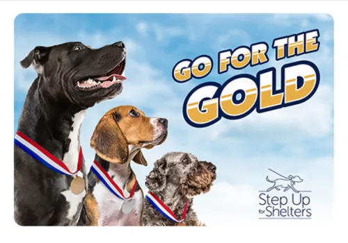 Go for the Gold challenge in WoofTrax where the more walks the dog owners log, the more flea-and-tick protection shelter dogs get